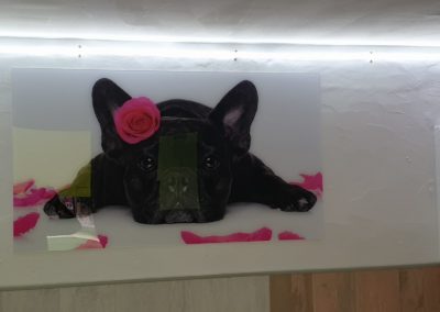 IMG-20190724-WA0012