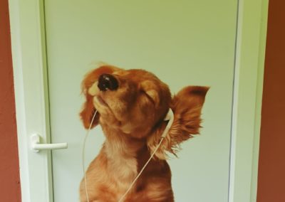 IMG-20190724-WA0014